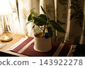 A room with lamplight and houseplants 143922278
