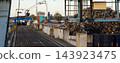 Crane at industrial recycling facility Magdeburg hafen large scrap metal pile beside scrap piles rail tracks port machinery. Blue metal structures frame working yard under clear sky in urban Germany 143923475