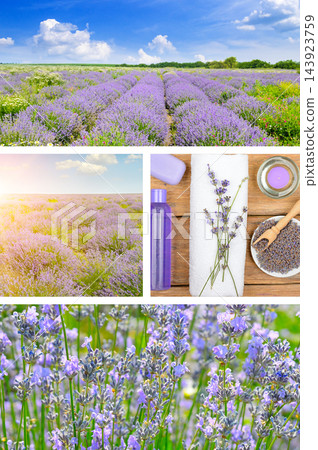 Vertical photo collage of lavender field landscape, close up purple flowers, and spa accessories with copy space 143923759