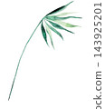 Watercolor soft green leaves, botanical isolated illustration. Romantic wedding stationery 143925201