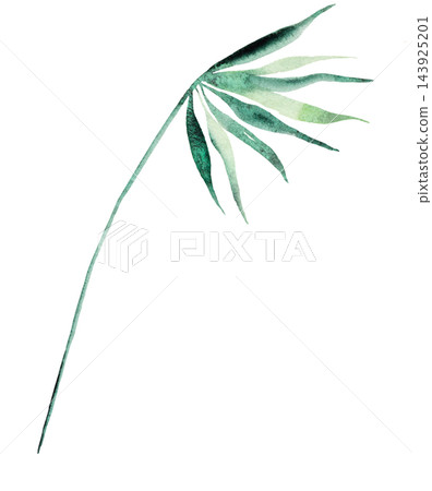 Watercolor soft green leaves, botanical isolated illustration. Romantic wedding stationery 143925201
