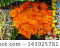 Autumn yellow leaves decoration 143925781