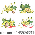 Avocado with hot chili peppers and garlic, whole and cut fruits, halves slices and leaves. Hand painted realistic watercolor botanical illustration set isolated on white for recipes and food packaging 143926551