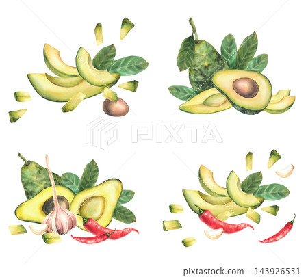 Avocado with hot chili peppers and garlic, whole and cut fruits, halves slices and leaves. Hand painted realistic watercolor botanical illustration set isolated on white for recipes and food packaging Avocado with hot chili peppers and garlic, whole and cut fruits, halves slices and leaves. Hand painted realistic watercolor botanical illustration set isolated on white for recipes and food packaging 143926551