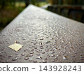 Rain droplets covering a textured outdoor surface with fallen leaf in soft light 143928243
