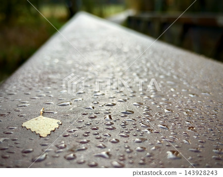 Rain droplets covering a textured outdoor surface with fallen leaf in soft light Rain droplets covering a textured outdoor surface with fallen leaf in soft light 143928243