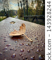 Fallen autumn leaf with raindrops on a weathered wooden bridge in woodland 143928244