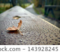 Fallen brown leaf with water droplets on a dark wet outdoor surface 143928245