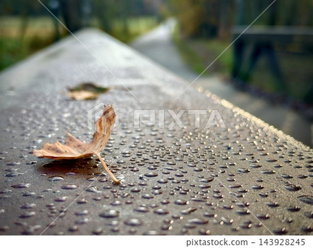 Fallen brown leaf with water droplets on a dark wet outdoor surface 143928245