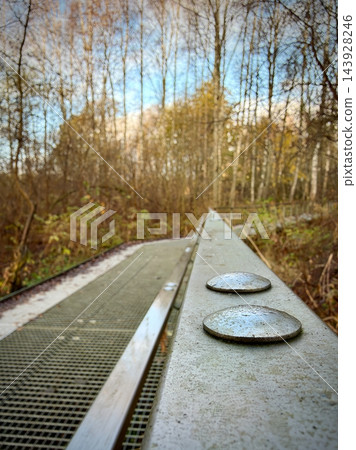 Metal footbridge with circular plates through a leafless woodland landscape Metal footbridge with circular plates through a leafless woodland landscape 143928246