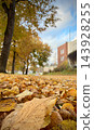 Autumn leaves covering ground beneath trees beside urban buildings outdoors 143928255