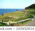 位於能登半島的白根市，面向大海，層層疊疊的梯田。 143932614