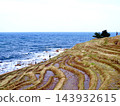 位於能登半島的白根市，面向大海，層層疊疊的梯田。 143932615