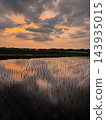Rice paddies reflecting the sunset. Rice paddies reflecting the sunset. 143935015