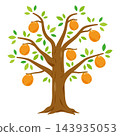 Illustration of a loquat tree 143935053