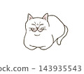 A white cat sitting in a loaf position with its front paws tucked in. 143935543