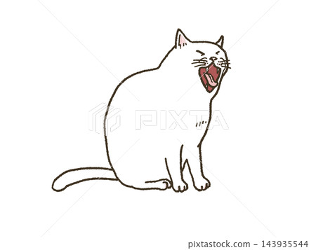 A white cat yawns with its mouth wide open. A white cat yawns with its mouth wide open. 143935544