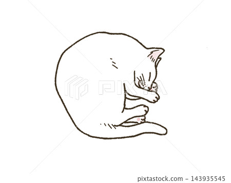 A white cat curled up and sleeping soundly. A white cat curled up and sleeping soundly. 143935545