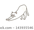 A white cat stretches its front paws out. 143935546