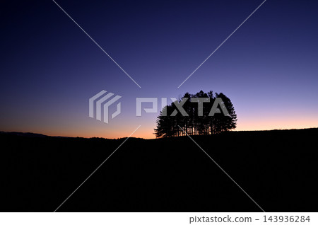黎明時的落葉松山 黎明時的落葉松山 143936284