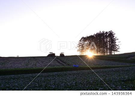 The rising sun over the larch-covered hills The rising sun over the larch-covered hills 143936364