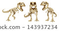 Watercolor tyrannosaurus rex dinosaur skeleton and fossils set, featuring prehistoric T-rex bones and anatomy poses for scientific and educational design. Transparent background illustration 143937234
