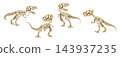 Watercolor tyrannosaurus rex dinosaur skeleton and fossils set, featuring prehistoric T-rex bones and anatomy poses for scientific and educational design. Transparent background illustration 143937235