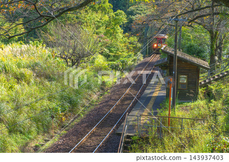 垂海鐵路日光站 垂海鐵路日光站 143937403