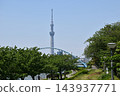 陽光明媚的東京景色：芙蓉橋拱門和東京晴空塔的景色。 143937771