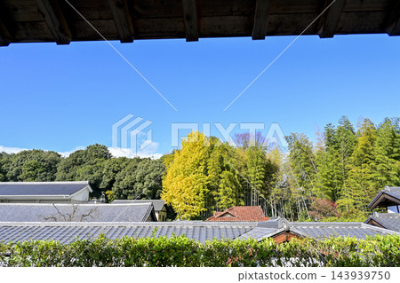 秋天Hakoshoshoji寺 143939750