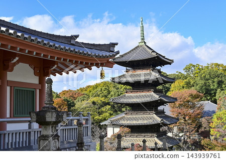 秋天Hakoshoshoji寺 秋天Hakoshoshoji寺 143939761