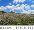 堤岸上，藍紫色野花競相綻放，與蔚藍天空下的磐梯山交相輝映，美不勝收。 143940141