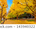 A golden autumn scene captured in the early morning of late November on the Gaien Ginkgo tree-lined promenade, showing a bench and the backs of people walking their dogs. A golden autumn scene captured in the early morning of late November on the Gaien Ginkgo tree-lined promenade, showing a bench and the backs of people walking their dogs. 143940322