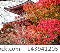 Autumn leaves at Kiyomizu-dera Temple on Mount Otowa 143941205