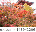 Autumn leaves at Kiyomizu-dera Temple on Mount Otowa 143941206