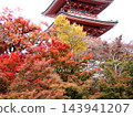 Autumn leaves at Kiyomizu-dera Temple on Mount Otowa 143941207