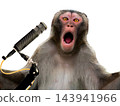 monkey during  sings into a microphone isolated on a white background 143941966