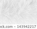 Beautiful white grey bird feathers pattern texture background. 143942217