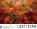 Fresh Ripe Tomatoes on Vine 143943259