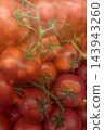 Fresh Ripe Tomatoes on Vine 143943260