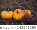 Three Vibrant Orange Decorative Pumpkins Arranged on Wooden Plank Against Blurred Autumn Garden Background 143943293
