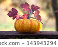 Small Orange Pumpkin with Red Leaves Resting on Natural Wood Surface Outdoors 143943294
