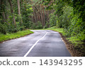 Winding Asphalt Road Through Lush Green Pine Forest During Warm Summer Afternoon 143943295