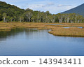 秋日尾瀨的景色，色彩繽紛的草地和池塘。群馬縣片科村。 143943411