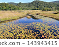 秋日尾瀨的景色，色彩繽紛的草地和池塘。群馬縣片科村。 143943415