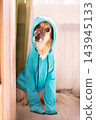 Big dog wearing bright blue hood 143945133