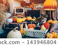 vintage television resting on patterned suitcase surrounded by autumn pumpkins, retro wooden radio near glowing lamp featuring seasonal knitted squash decoration 143946804