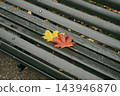 雨水打濕了公園長椅上的黃楓葉和紅楓葉。 143946870