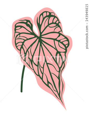 Tropical heart shaped leaf illustration with dark green organic veins and linework over soft pink irregular background shape vector botanical graphic 143949815