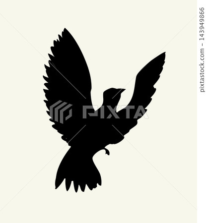 Vector drawing. Dove in the sky Vector drawing. Dove in the sky 143949866